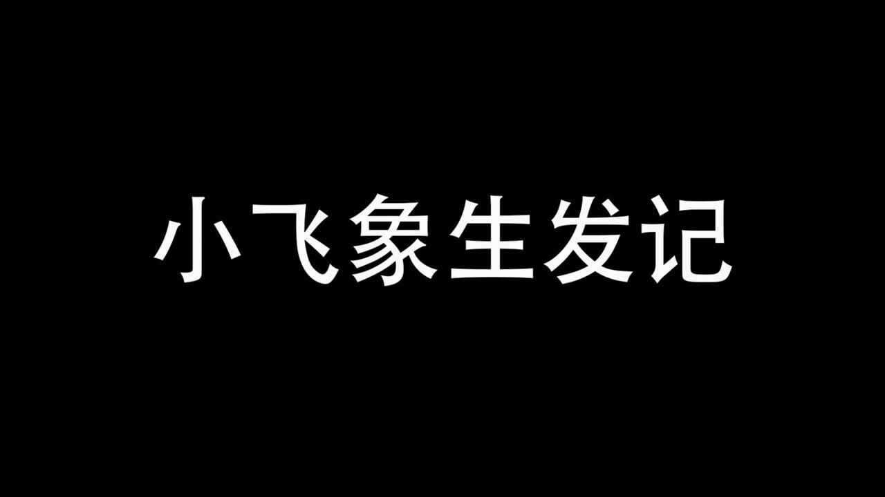 飞象生发记：发现一坨会说话的“粑粑”