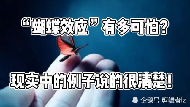 “蝴蝶效应”有多可怕?现实中发生的实例就是最真实证明!