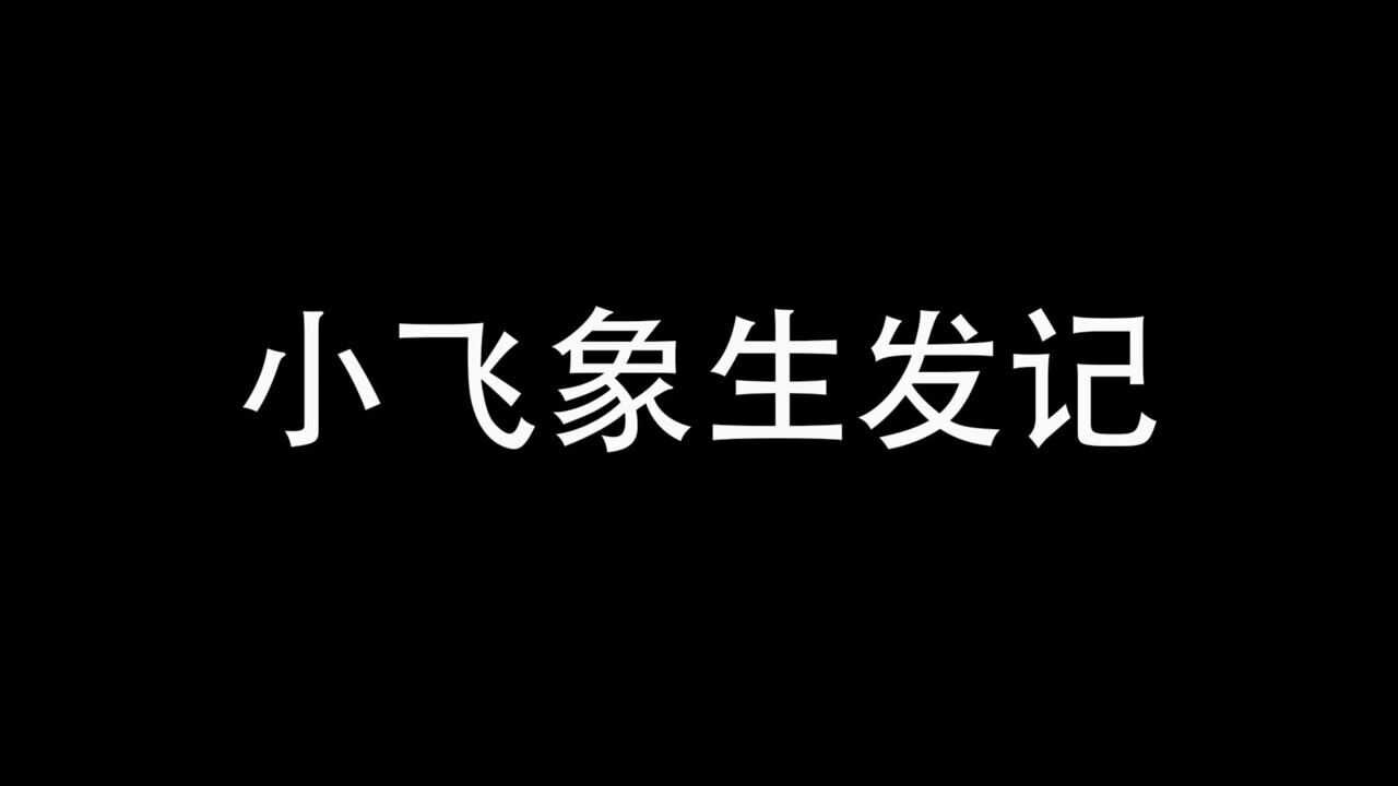 飞象生发记02：我终于送走了这坨会说话的“粑粑”