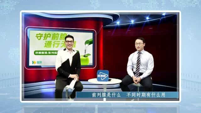 前列腺是什么 不同时期都有什么用?