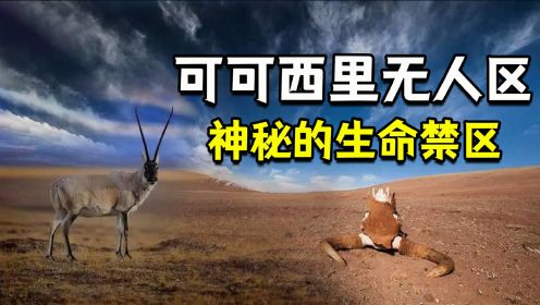 可可西里无人区有多恐怖？人类禁区，里面藏有哪些可怕生物？