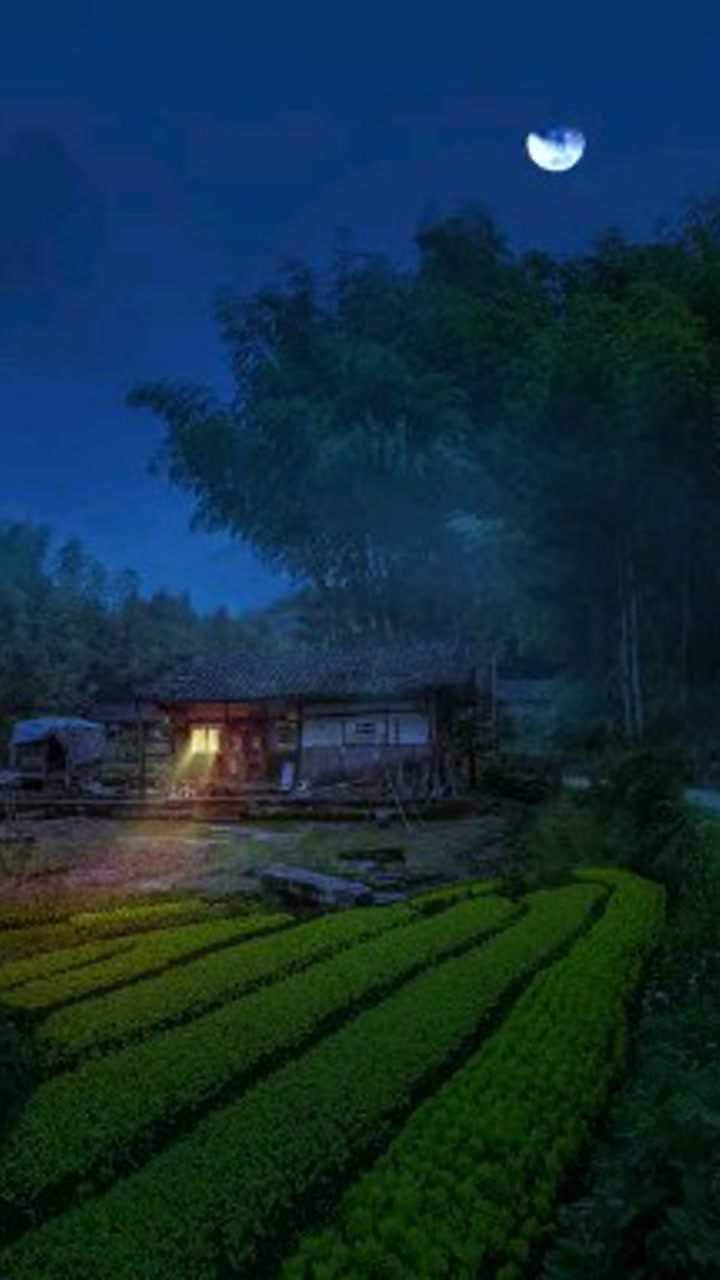 月光下的小山村