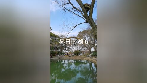 古树掩映 烟雨楼 拍摄于嘉兴南湖