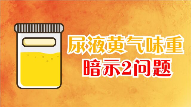 尿液很黄、气味重?并不是上火,可能暗示2个问题,别忽视