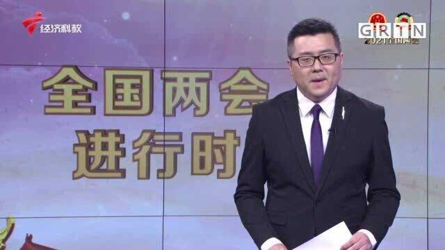 解读政府工作报告 全国政协委员吴杰庄:民生红包给市场注入活力