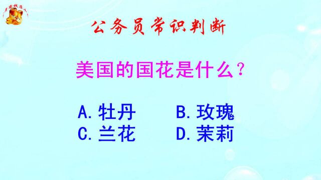 公务员常识判断,美国的国花是什么?难倒了学霸