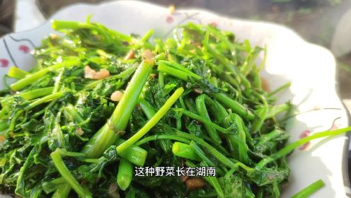 春天必吃野菜，水芹菜要这样做才是最好吃的哦