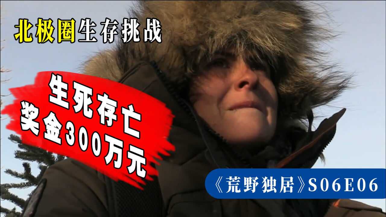 荒野独居北极圈300万生存比赛妹子受伤后房子还被烧了
