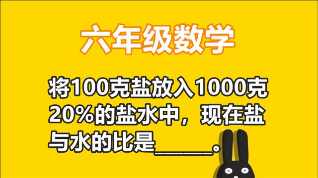 六年级:将100克盐放入1000克20%的盐水中,现在盐与水的比是多少