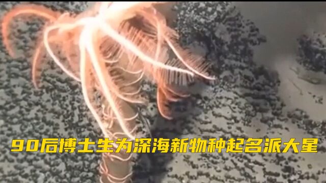 科研人的可爱!90后博士生为深海新物种起名派大星