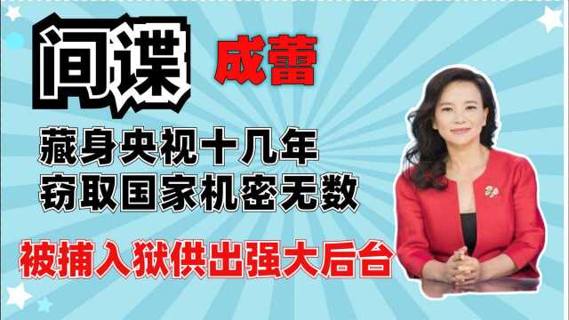 竟然是她?著名主持跪舔澳美,被捕入狱意外供出强大靠山