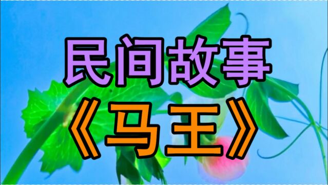 民间故事《马王》京城的西头新开了一家饭馆