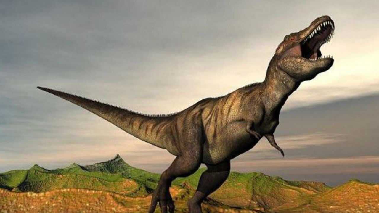 霸王龙打架斗殴场面霸王龙脾气火爆打架就像帮派混混