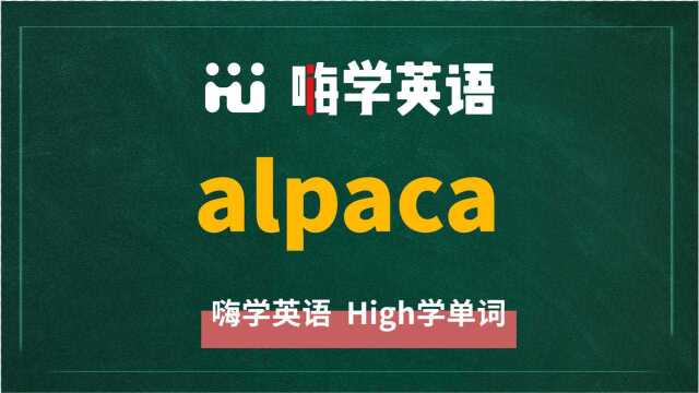 英语单词alpaca讲师讲解,动动脑袋想一想,这个单词它是什么意思,可以怎么使用