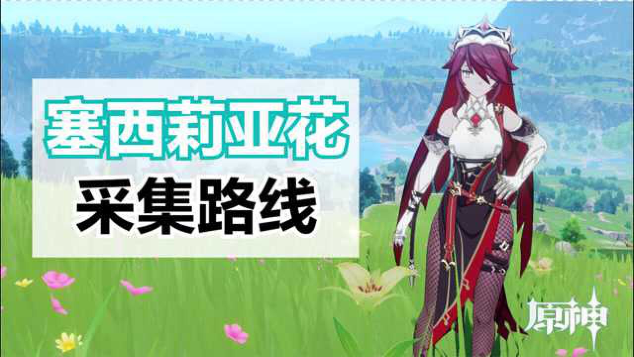 原神塞西莉亚花在哪采集?带你看懂最全最效率的收集路线