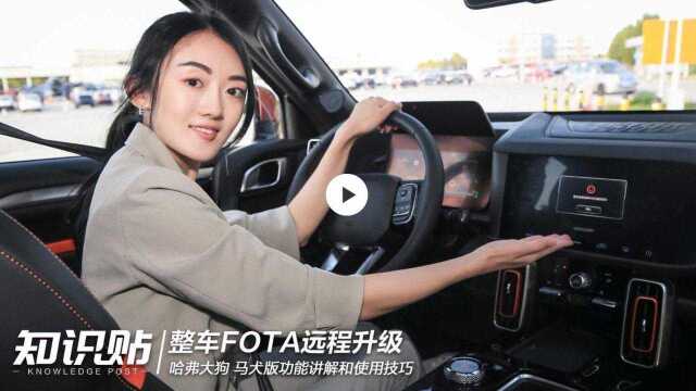 哈弗大狗功能介绍整车FOTA远程升级