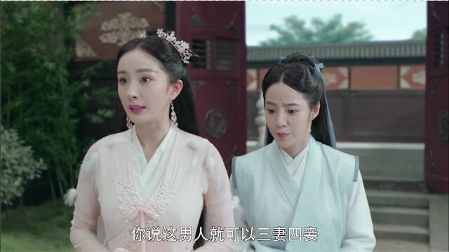 《扶摇》第20集02:扶摇对皇帝不满凭什么他可以三妻四妾