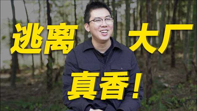 真香!福建小伙放弃大厂返乡创业卖茶叶,如今一年营收1300万