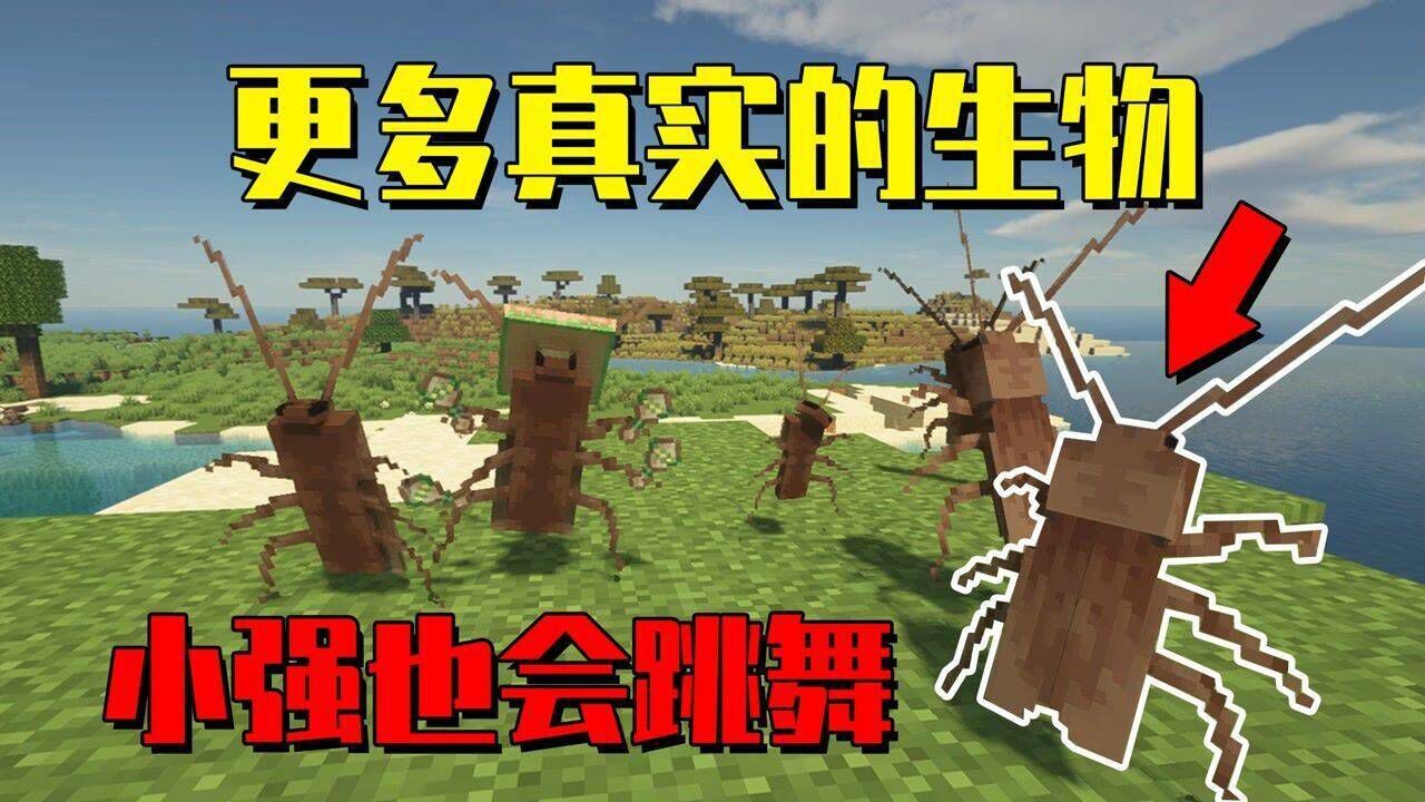 我的世界mod：MC中添加了更多真实的生物，蟑螂听音乐竟会跳舞！_高清1080P在线观看平台_腾讯视频