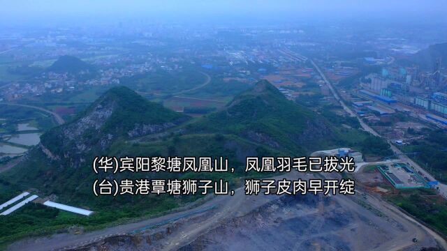 广西宾阳黎塘镇凤凰矿山,凤毛已拔光,县里应该都用过这里的水泥