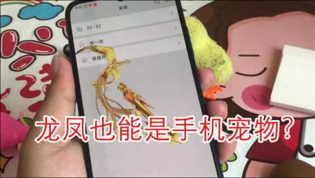 龙凤也能是手机宠物?快来养一对,看他们在手机里自由地飞舞