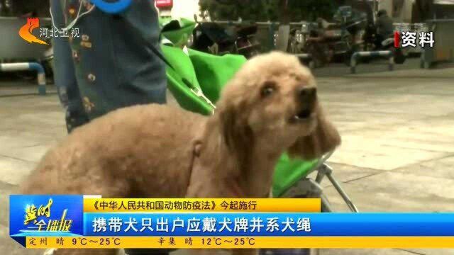 《中华人民共和国动物防疫法》今起施行 携带犬只出户应戴牌系绳