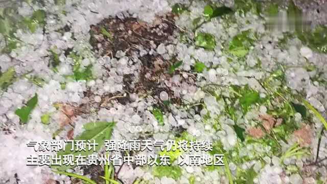 贵州:27县域遭遇冰雹袭击