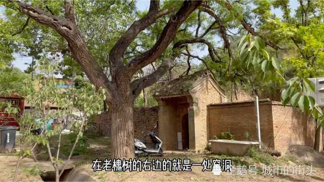 三门峡湖滨区泉脑村,一座建在山坡上的古村落,现如今村民居住的还都是窑洞