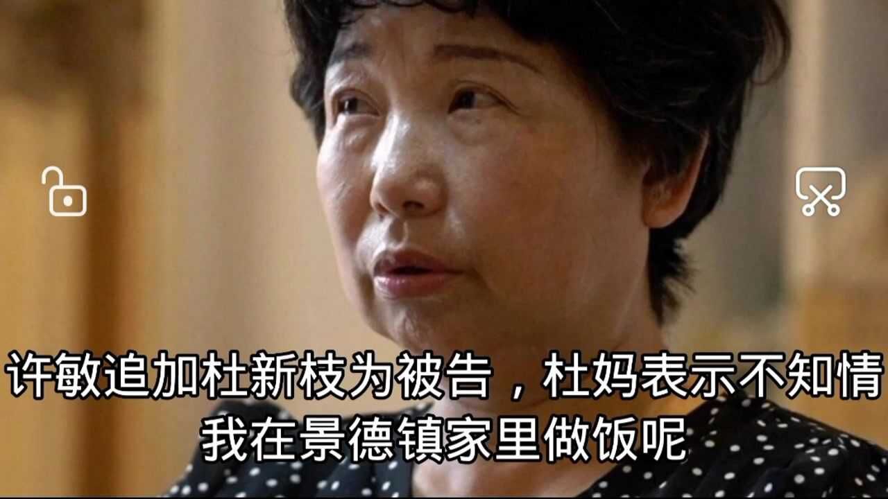 许敏追加杜新枝为被告杜妈表示不知情我在景德镇家里做饭给姚策过七七