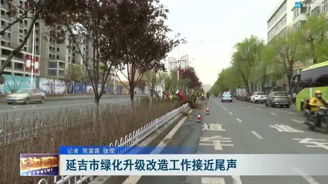 延吉市绿化升级改造工作接近尾声