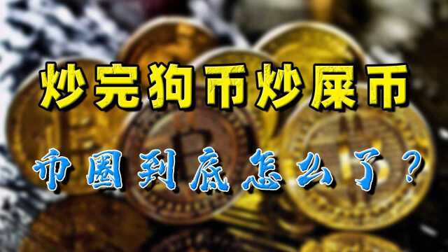 炒完狗币炒屎币,马斯克一句话狂拉200%!这币圈到底啥情况?#生财有道话理财#