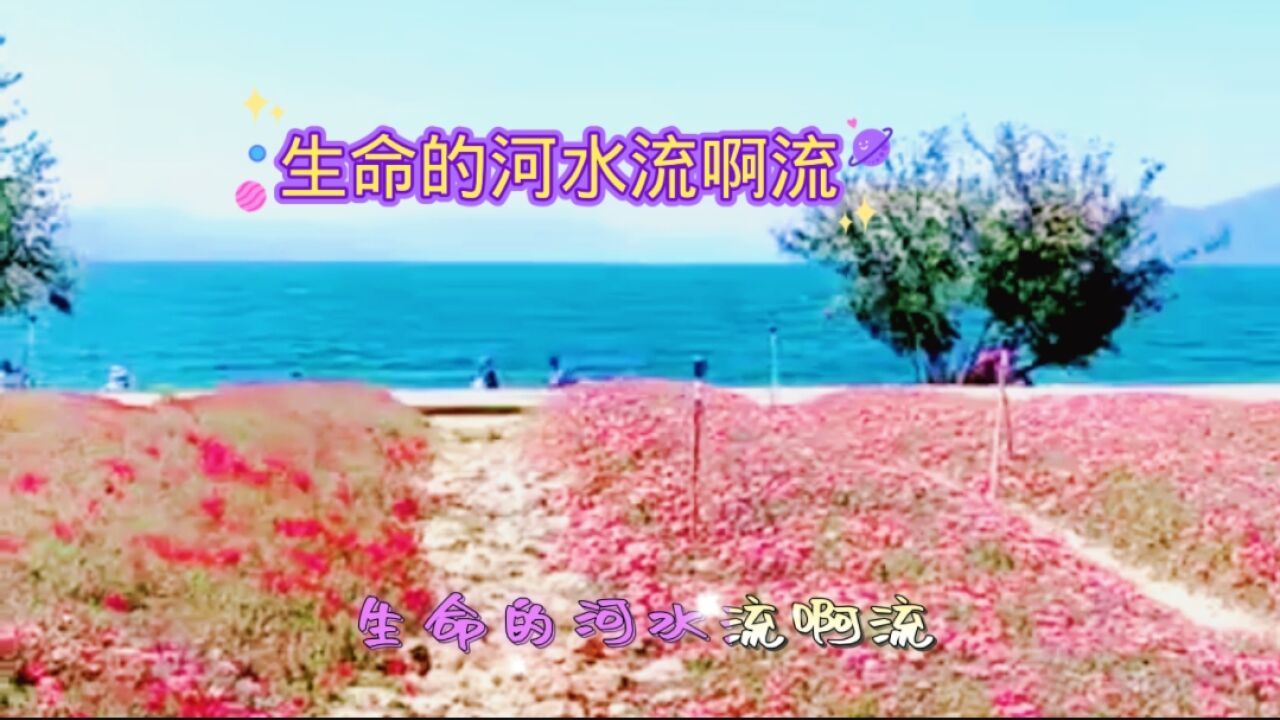 生命的河水流啊流._腾讯视频