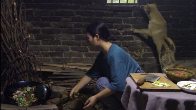 女子租个旧院,独居湖南山里,屋外狂风暴雨,屋内柴火土灶做美食