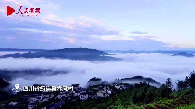 震撼!四川筠连县春风茶山上观浩瀚星空