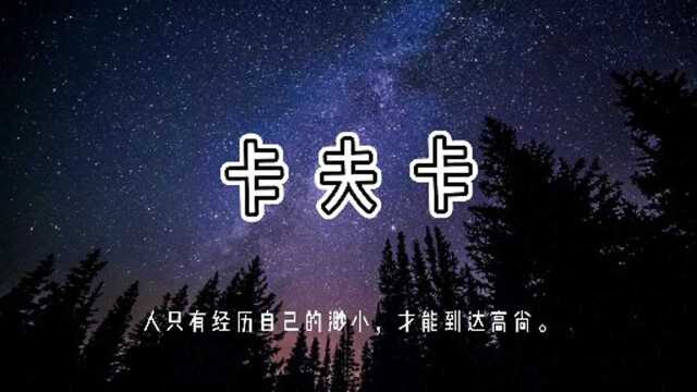 卡夫卡:人只有经历自己的渺小,才能到达高尚.