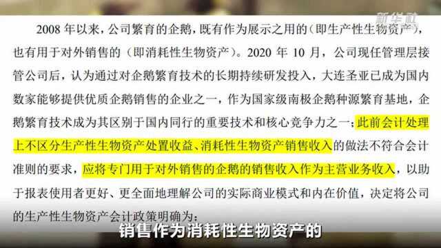 卖企鹅保壳?这家公司有点意思