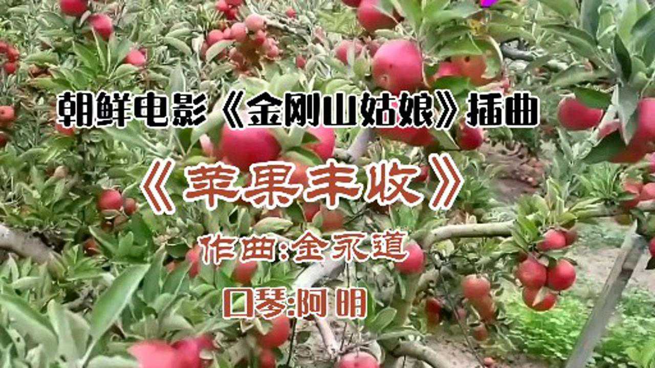朝鲜老电影插曲苹果丰收带着满满的回忆送给你口琴版