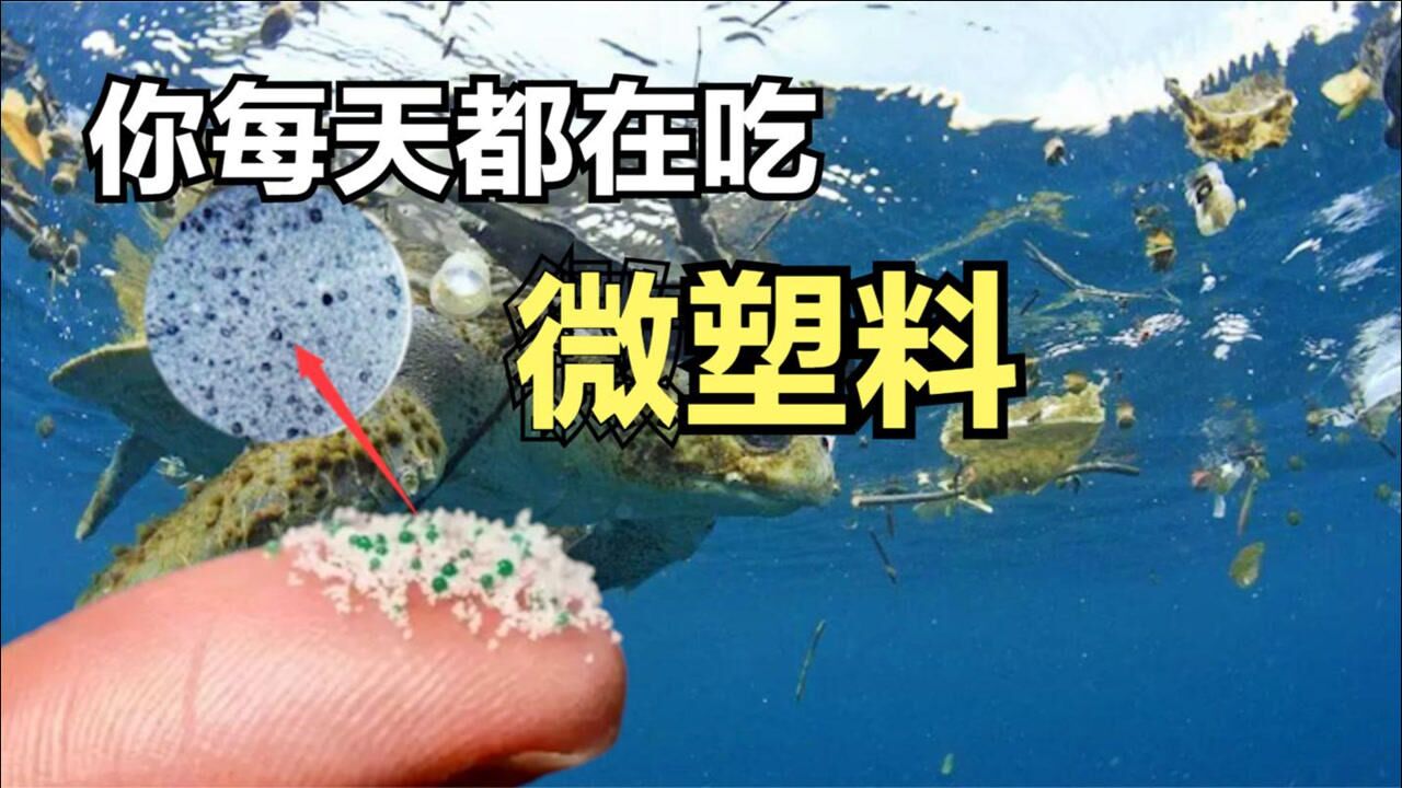 “微塑料”带来的危害，很难想象你吃的食物中，竟存在“微塑料”_高清