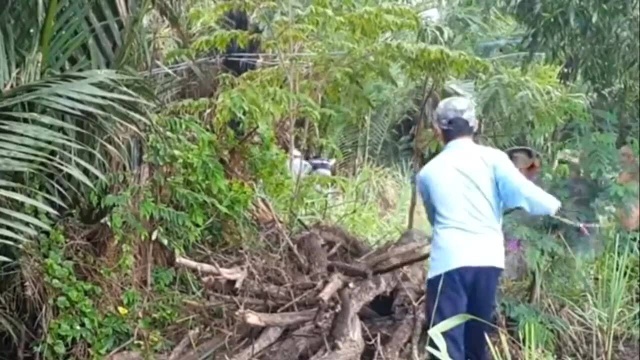 男子清理果园的干树枝,意外发现危险大家伙,竟引来全体村民围观