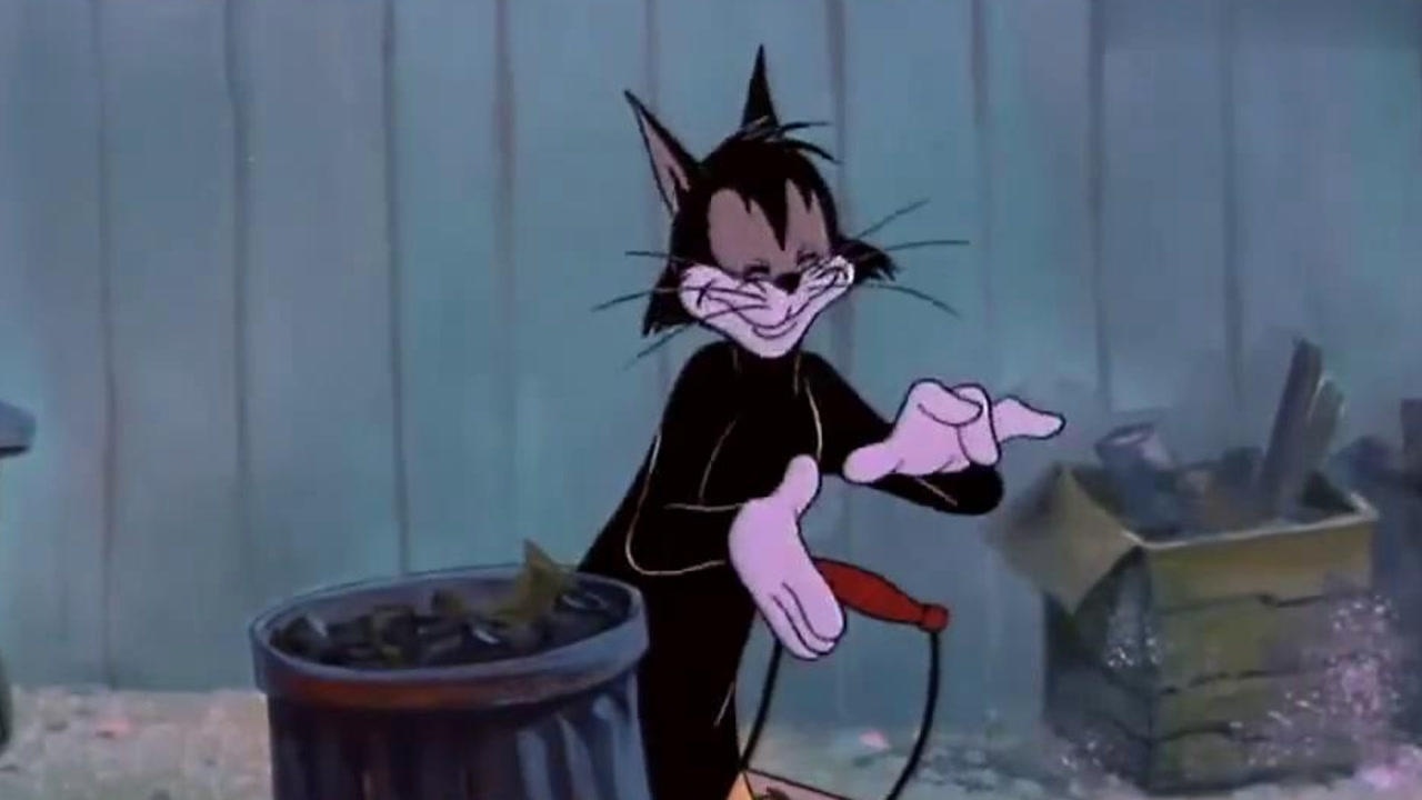 猫和老鼠:快乐很重要,黑猫虽然穷,却把垃圾堆逛成超市