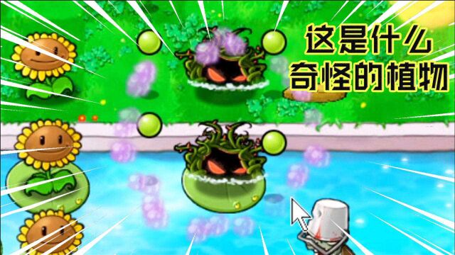 屑版PVZ:超强变异植物?忧郁的藤曼,二技能陆地能随意种植