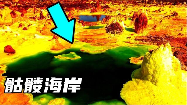 5个世界上最危险的地方,骷髅海岸白骨遍布,真正的地狱之门? #“知识抢先知”征稿大赛#