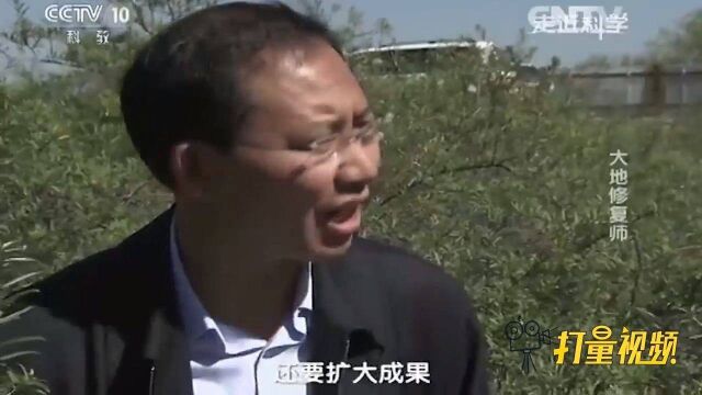 秦山核电强势崛起,海盐从海边小城华丽转型为“中国核电城”