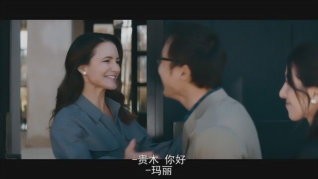 杀手柔情:女主是位深受作家阻碍的畅销女小说家,雇用一名无辜的年轻女子照顾她的双胞胎孩子