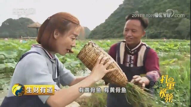 随着普者黑旅游景区的开发,村民的年收入达到了4万元