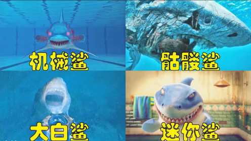 盘点电影中的鲨鱼，大白鲨好雄壮，迷你鲨太搞笑了吧！