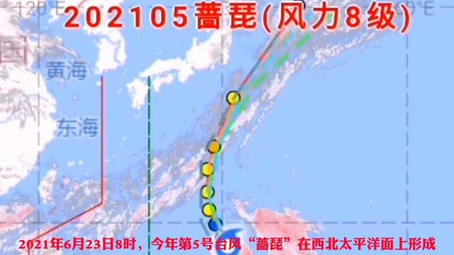 5号台风“蔷琵”形成,中心最大风力8级,最强可达强热带风暴级!