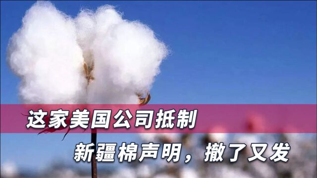 这家美企再对新疆发起攻击,还有更可恶的事,华春莹早已划明底线