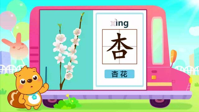 贝瓦识字系列之植物主题:杏