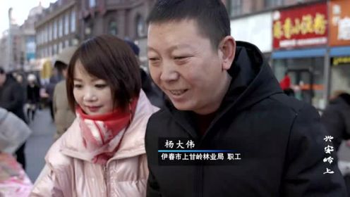 《希望的田野：兴安岭上》第四集《瑞雪丰年》——黑龙江广播电视台
